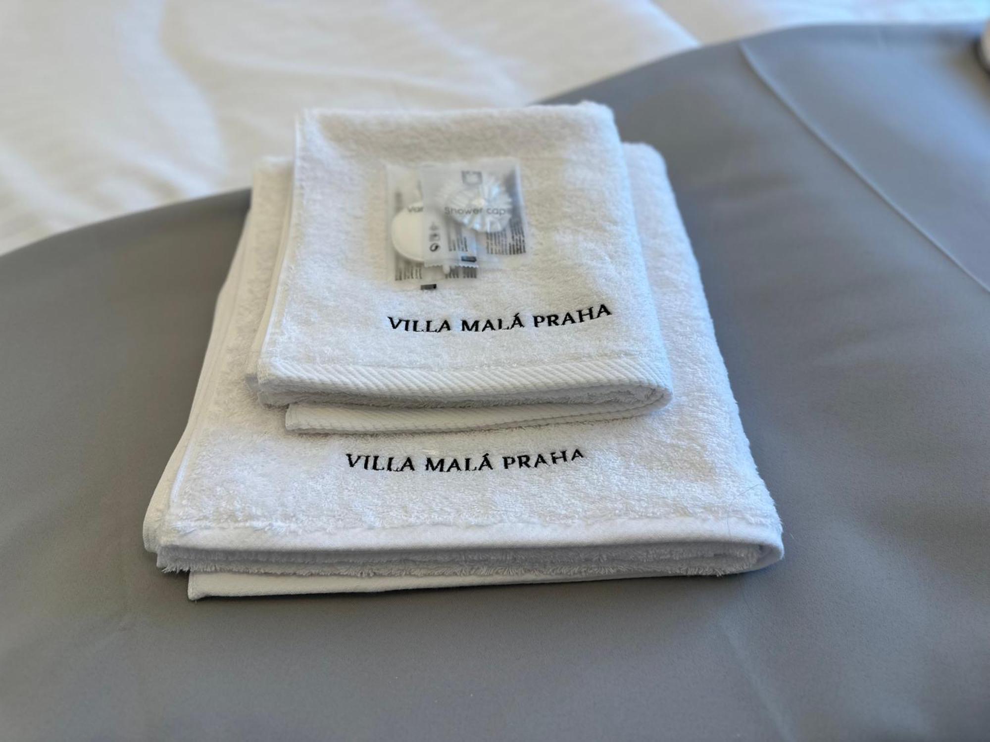 Villa Mala Praha Experience In The Center Of 질리나 외부 사진